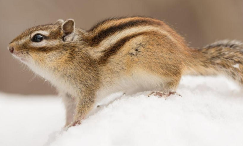 深圳优优叁陆壹网络科技公司轮播图3