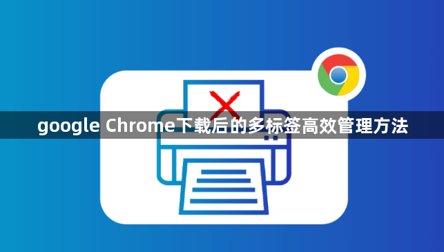 google Chrome下载后的多标签高效管理方法1