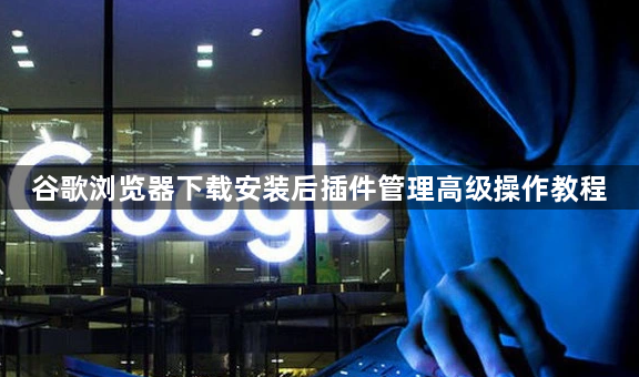 谷歌浏览器下载安装后插件管理高级操作教程1